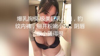 爆乳胸模 极美巨乳少妇，豹纹内裤，掰开粉嫩小穴，阴唇很小骚得很