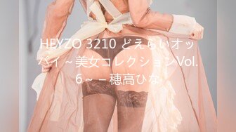 HEYZO 3210 どえらいオッパイ～美女コレクションVol.6～ – 穂高ひな