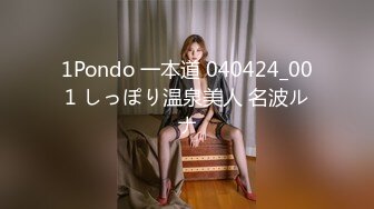 1Pondo 一本道 040424_001 しっぽり温泉美人 名波ルナ