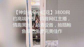 【神剑摘朵小红花】3800网约高端外围，抖音网红主播，情趣黑丝，超清设备，抽插鲍鱼细节角度完美佳作