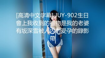 [高清中文字幕] JUY-902生日會上我收到的禮物是我的老婆有坂深雪被人內射受孕的錄影帶