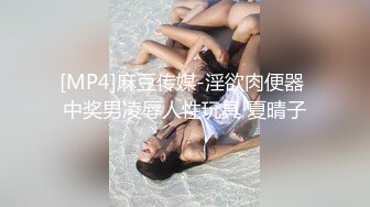 [MP4]麻豆传媒-淫欲肉便器 中奖男凌辱人性玩具 夏晴子