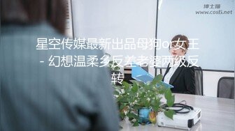 星空传媒最新出品母狗or女王 - 幻想温柔乡反差老婆两级反转