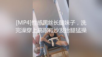 [MP4]性感黑丝长腿妹子，洗完澡穿上高跟鞋沙发抬腿猛操