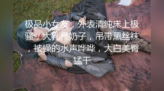 极品小女友，外表清纯床上极骚，大乳晕奶子，吊带黑丝袜，被操的水声哗哗，大白美臀猛干