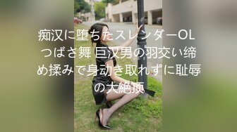 痴汉に堕ちたスレンダーOL つばさ舞 巨汉男の羽交い缔め揉みで身动き取れずに耻辱の大絶顶