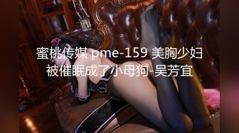 蜜桃传媒 pme-159 美胸少妇被催眠成了小母狗-吴芳宜