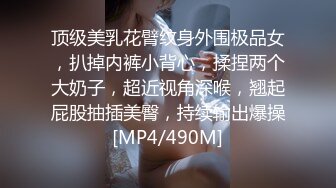 顶级美乳花臂纹身外围极品女，扒掉内裤小背心，揉捏两个大奶子，超近视角深喉，翘起屁股抽插美臀，持续输出爆操[MP4/490M]