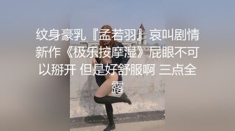 （哈尔滨），工作中的同事，系列三（后背）