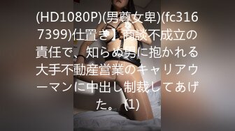 (HD1080P)(男尊女卑)(fc3167399)仕置き】商談不成立の責任で、知らぬ男に抱かれる大手不動産営業のキャリアウーマンに中出し制裁してあげた。 (1)