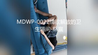 MDWP-0022情欲解放的卫生隔间-林襄