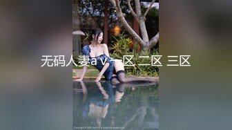 无码人妻aⅴ一区 二区 三区