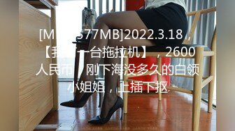 [MP4/577MB]2022.3.18，【我有一台拖拉机】，2600人民币，刚下海没多久的白领小姐姐，上插下抠